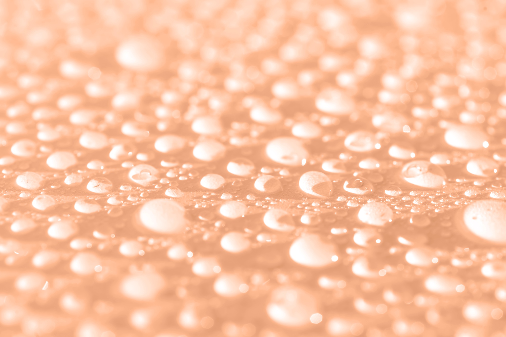 Mnóstwo kropli na tle Peach Fuzz.